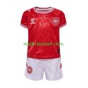 Maillot de Foot Danemark Domicile UEFA EURO 2024 - Enfant